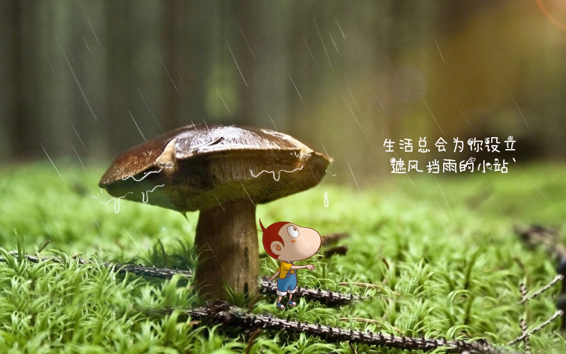 传统竹竿节节高比赛，文化与运动双重精彩，竹节鱼竿制作方法