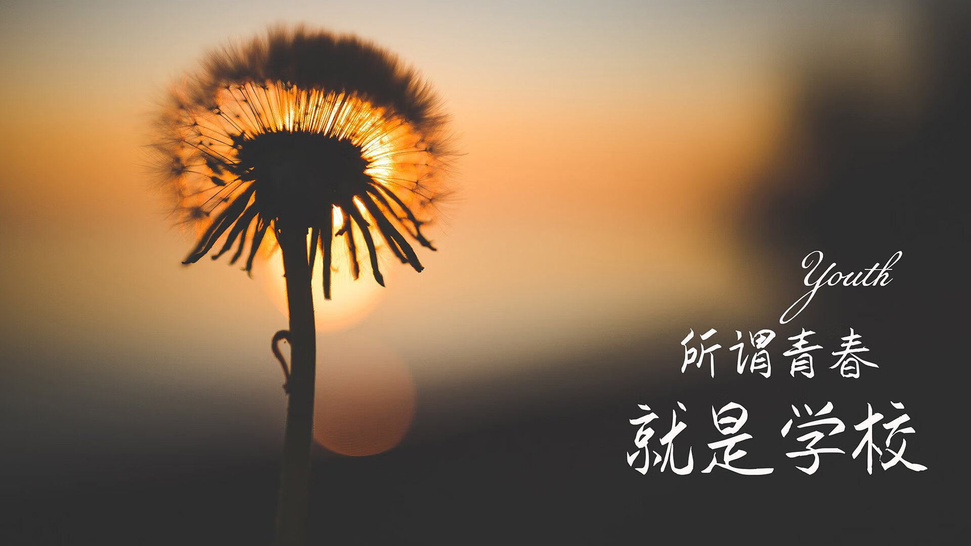 快船双核心连续砍分，引领球队胜利，快船6人得分上双胜热火