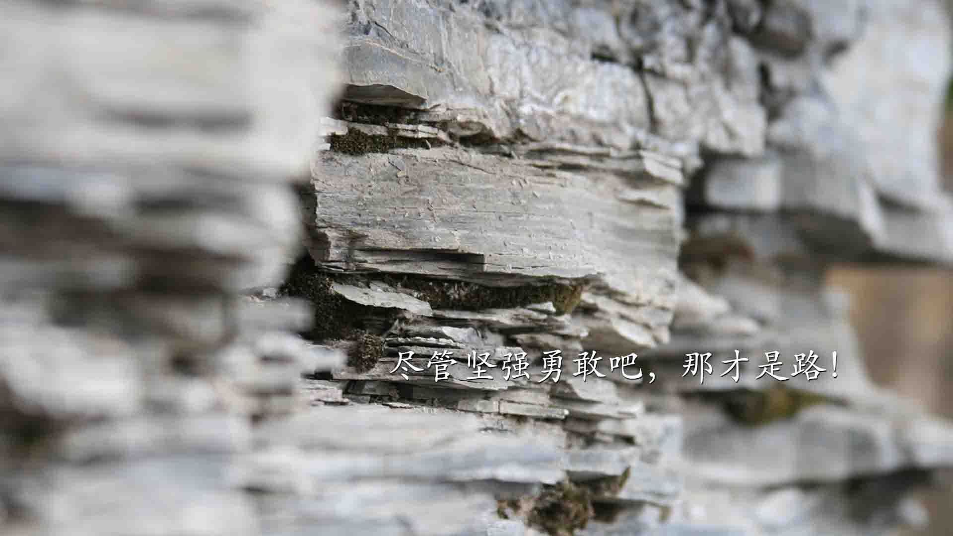 中国女篮核心球员状态爆发 带动全队前进，中国女篮十大杰出人物