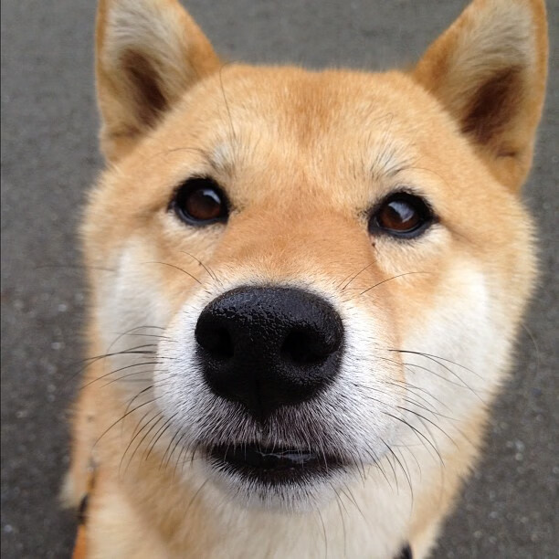 出发入水角度对速度影响，游泳出发入水角度