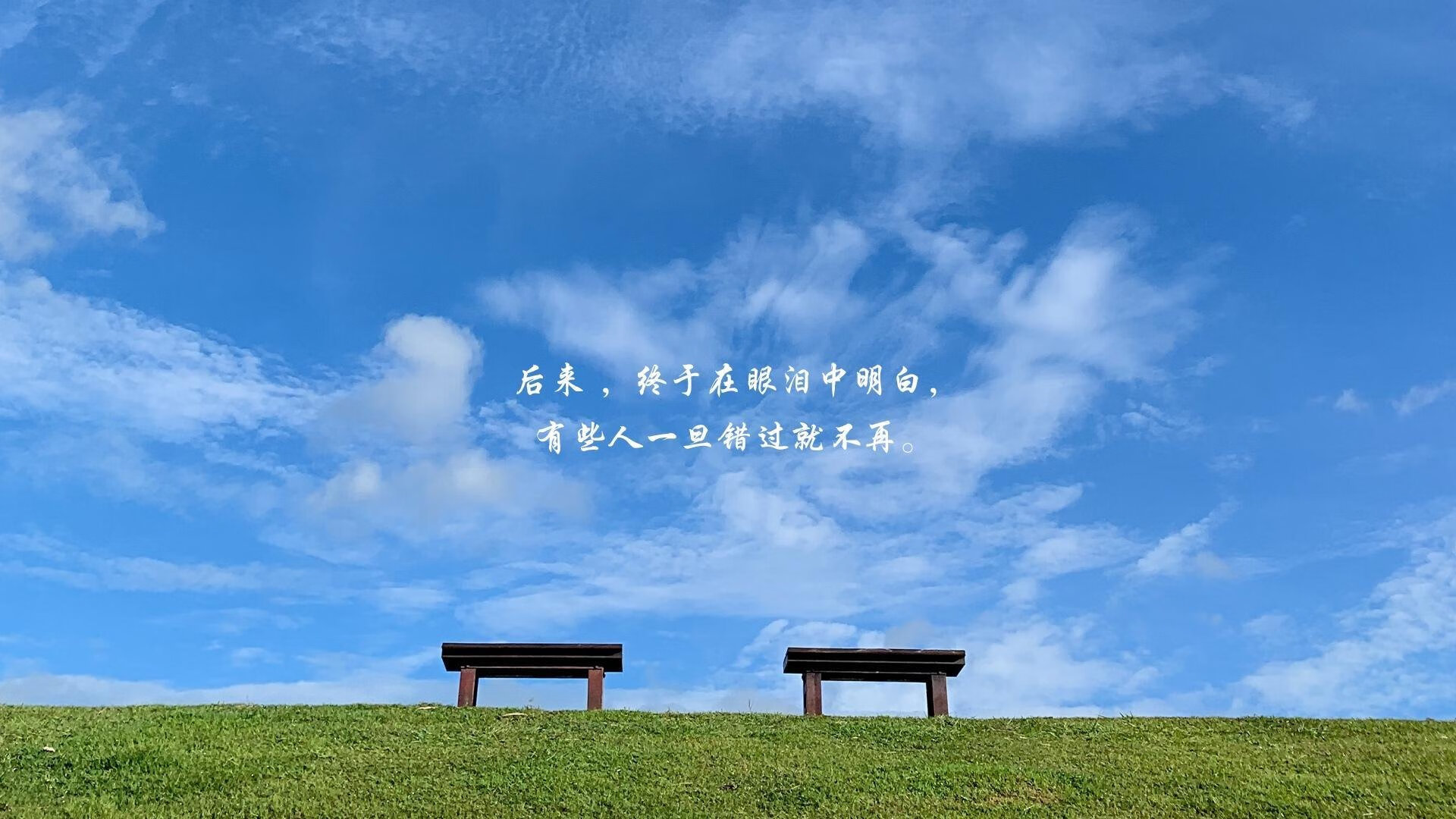 新加坡队如何借助国际赛事促进未来乒乓水平提升,新加坡乒乓球队员名单