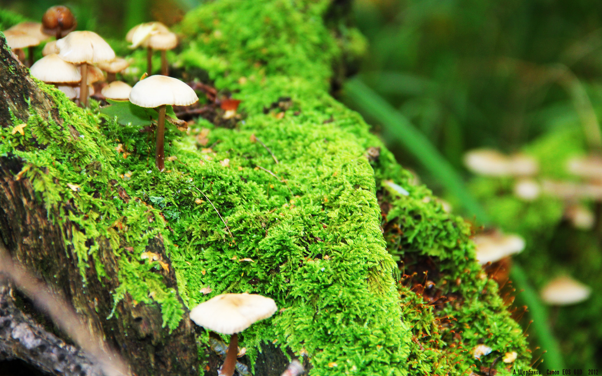 新的乒乓球赛事规则改革技术引领趋势，乒乓球比赛新规则2019