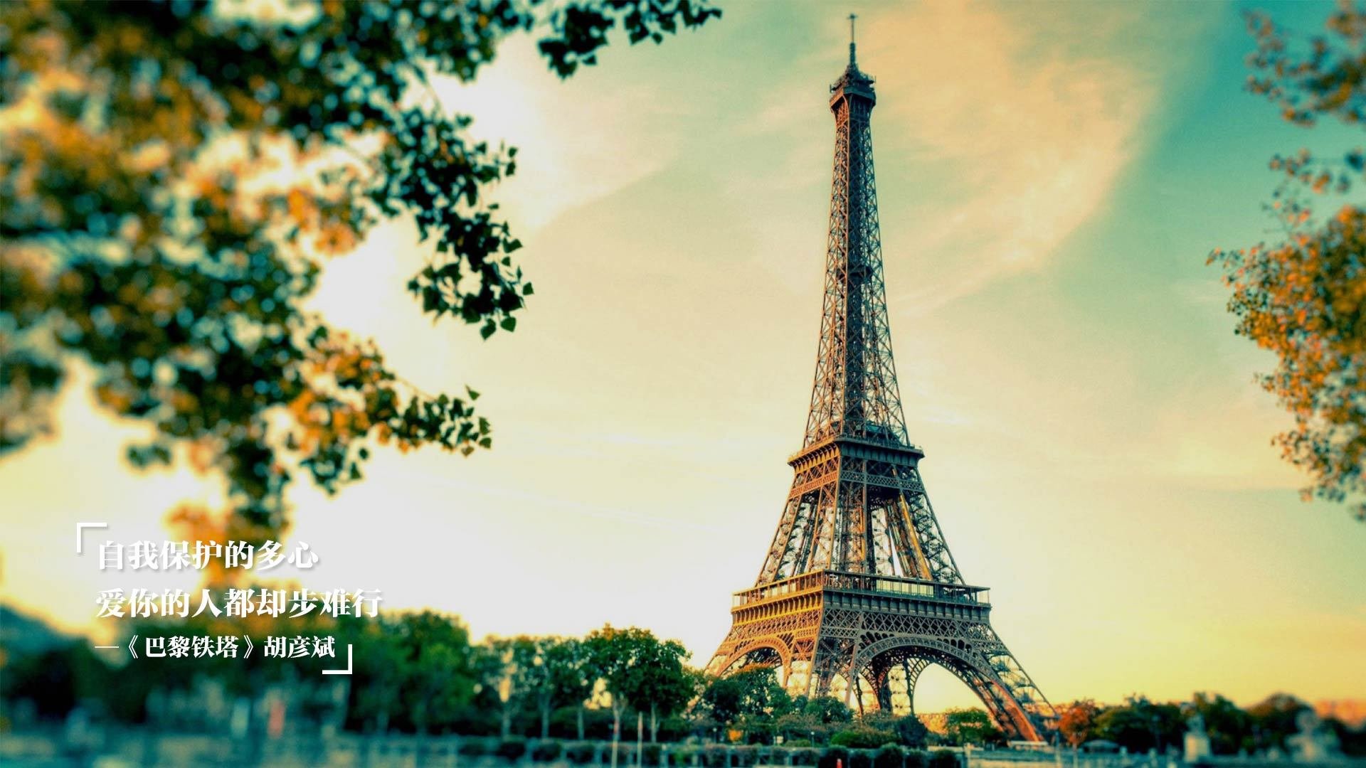 最后一棒自由泳大战 中国惜败收银，自由泳游泳冠军