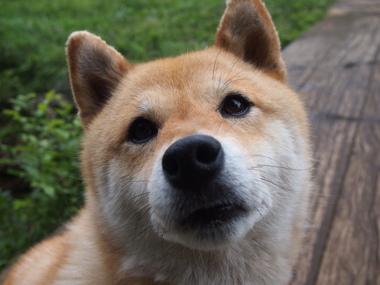 球队是否根据战术回合数配置换人节点，足球战术换人