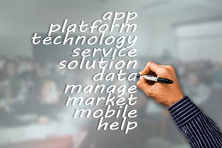 瑞典队未来：如何建立更具竞争力的国际品牌，瑞典队分析