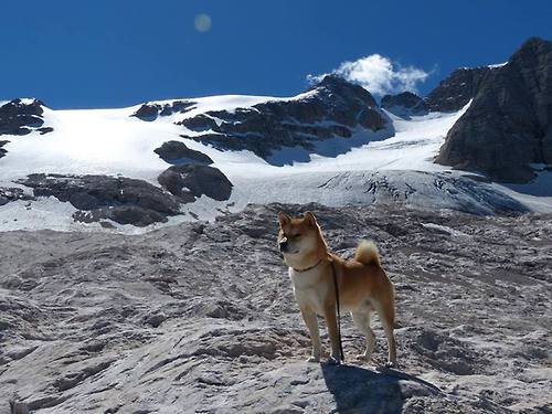 短道速滑国家队训练计划优化赛前节奏，短道速滑 国家队