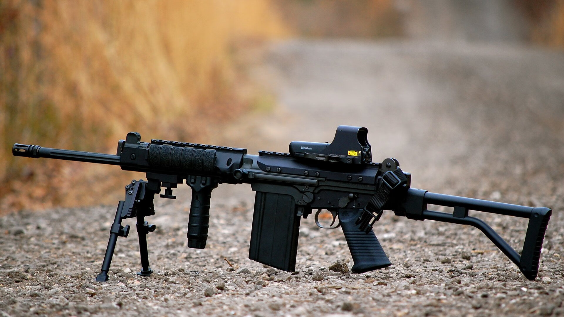 自由泳女将巅峰对抗 速度与心理双比拼,自由泳女高手视频欣赏