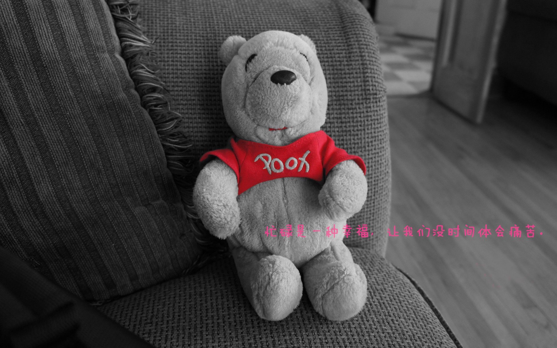 国家篮球训练中心升级完工配备最新智能训练设备系统，国家队篮球训练基地