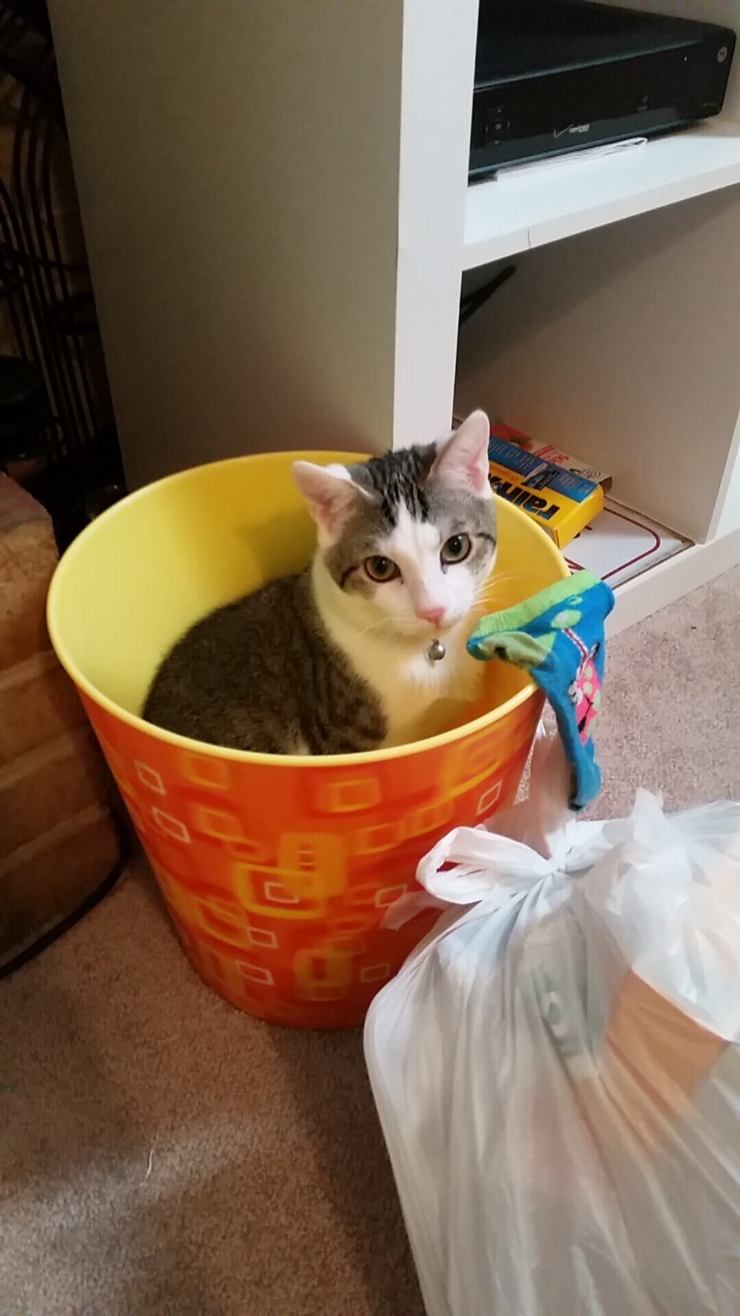 国王主教练强调保持进攻节奏是关键，国王现在的主教练