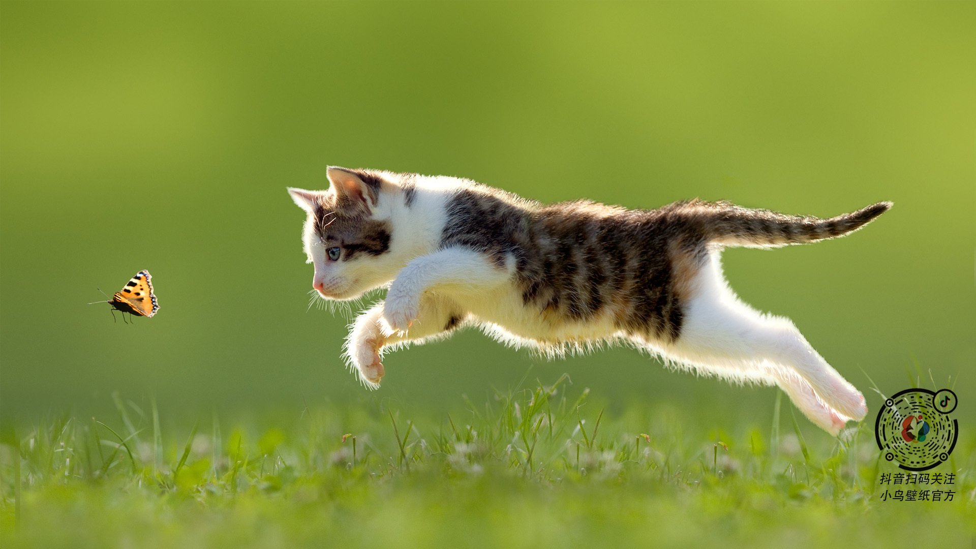 女子联赛尝试引入混合采访区增加媒体互动机会