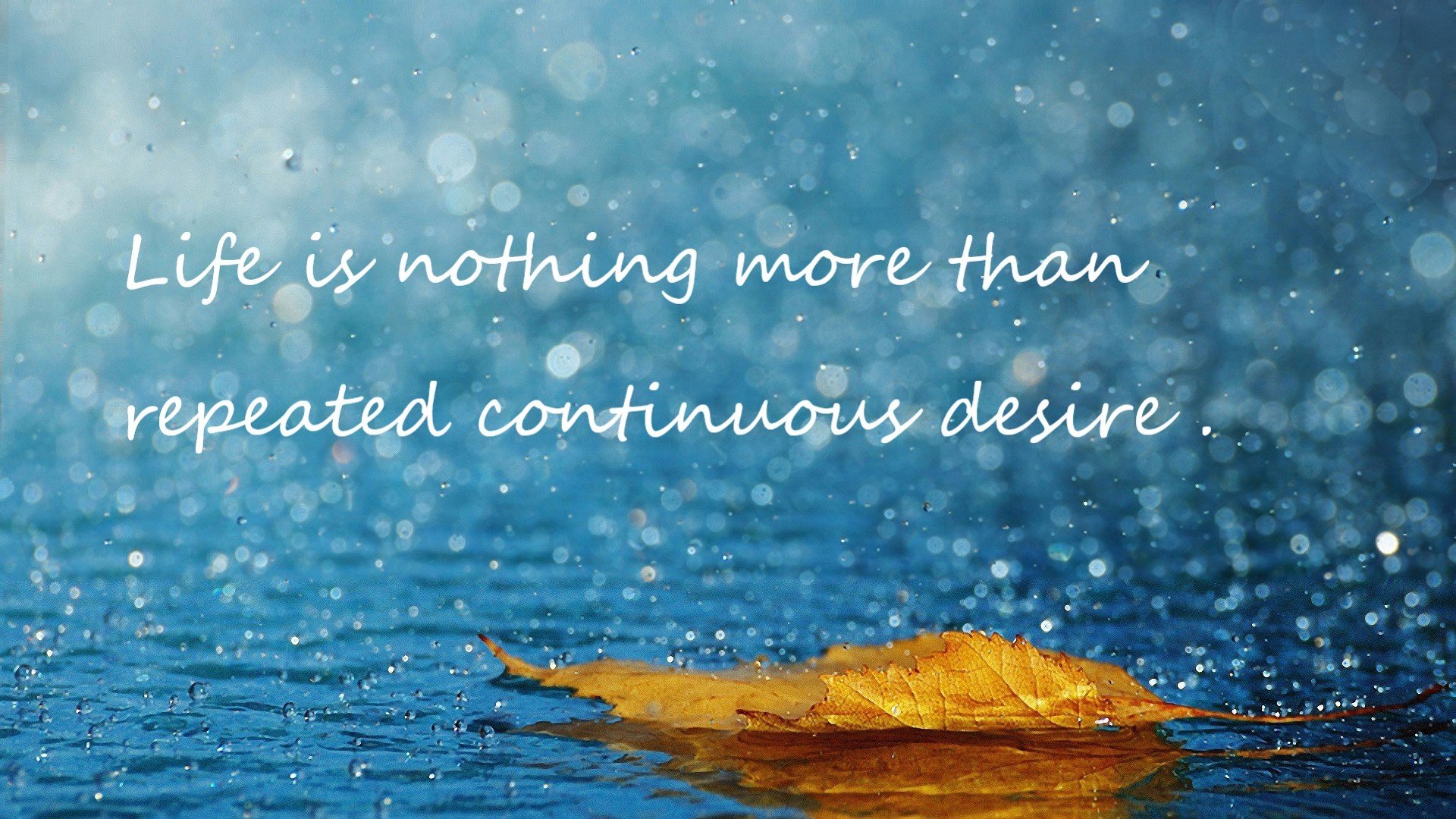 德甲速度与力量：攻防节奏快如闪电！，德甲强度