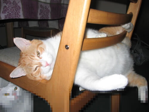 欧洲杯决战燃爆:全场惊喜连连!,欧洲杯决赛场外失控现场