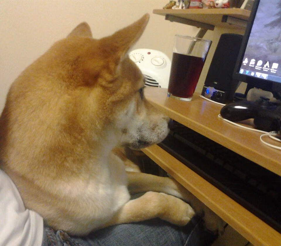 维尔·冯·威克:在高强度对抗中脱颖而出,助力南非队攻破敌防,冯克劳维茨