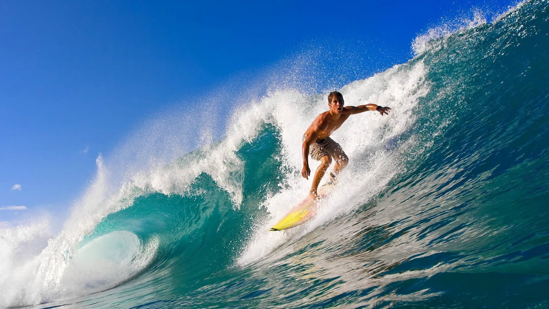 爱游戏体育APP下载-伊朗反曲弓男队在泛美锦标赛中夺冠，反曲弓竞技比赛